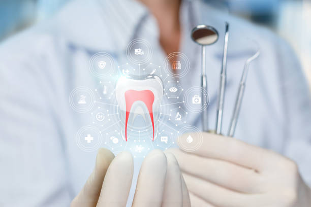 Trusted St George, UT  Holistic Dental Services Experts